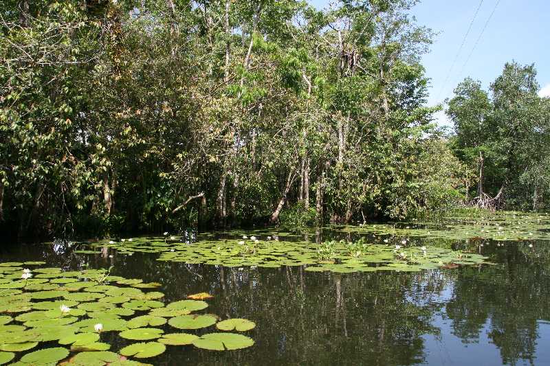Mexico & Guatemala 2010 - 0957